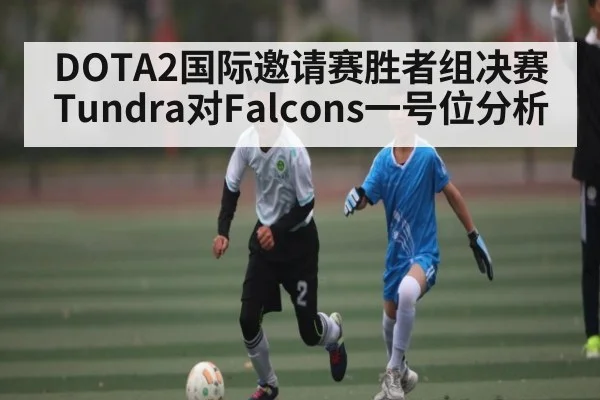 DOTA2国际邀请赛胜者组决赛Tundra对Falcons一号位分析（kaiyun）
